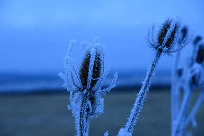 DSC_1107 (Large).JPG